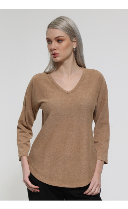 CAMEL LONG SLEEVE V-NECK TOP