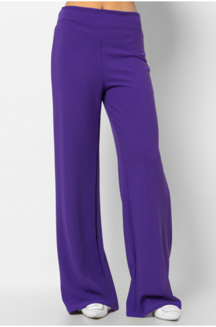 HIGH RISE VIOLET PANTS