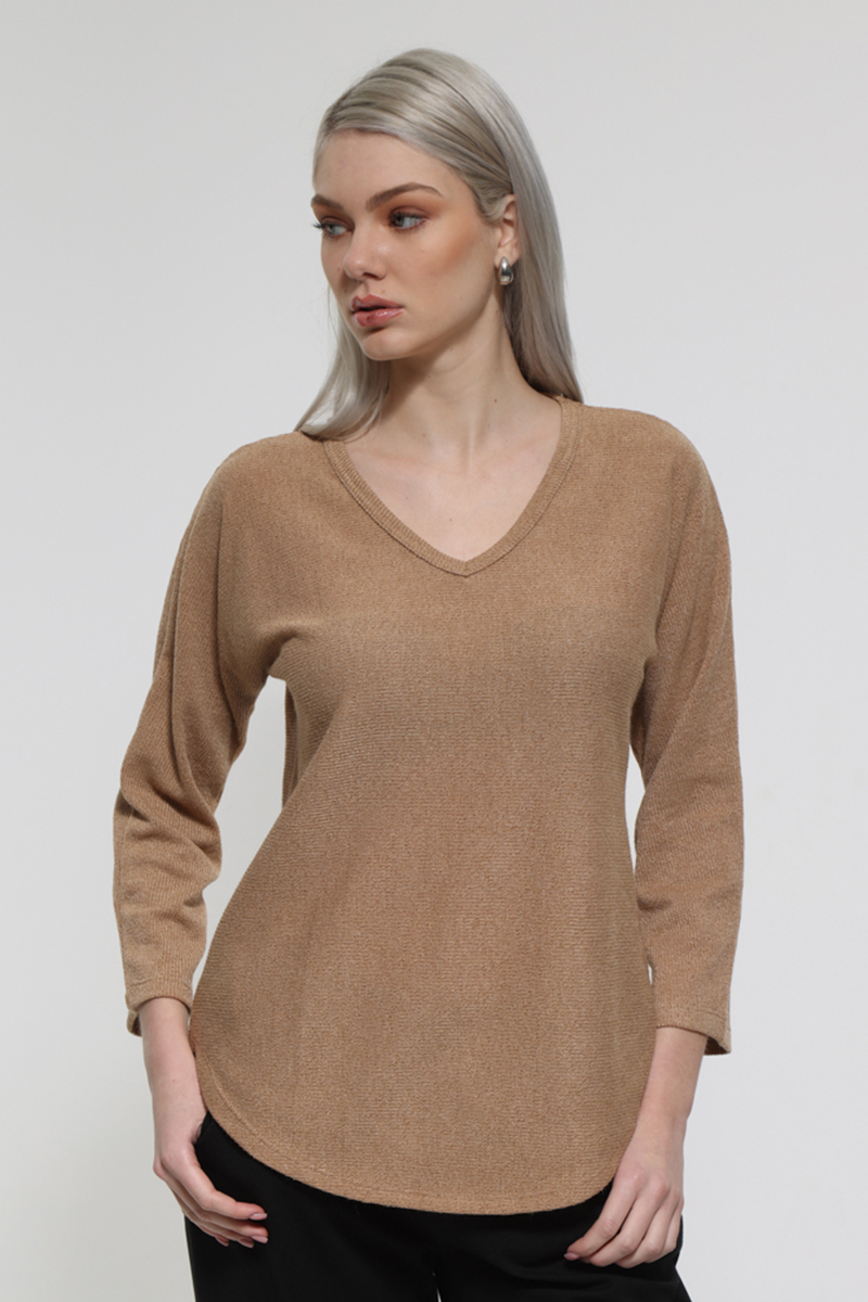 CAMEL LONG SLEEVE V-NECK TOP