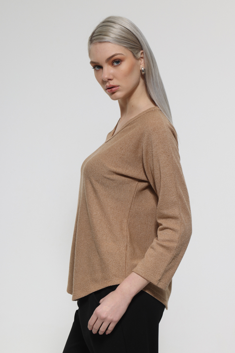 CAMEL LONG SLEEVE V-NECK TOP